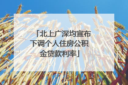 北上广深均宣布下调个人住房公积金贷款利率